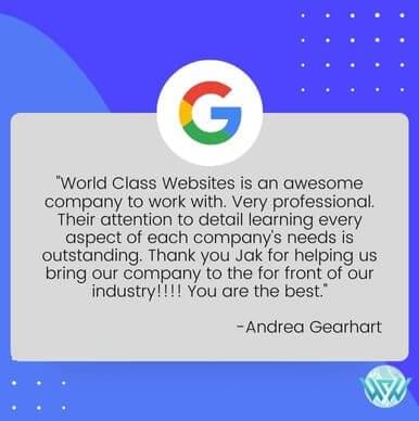 business website training testimonial world class websites review